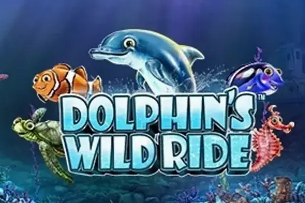 Dolphin's Wild Ride